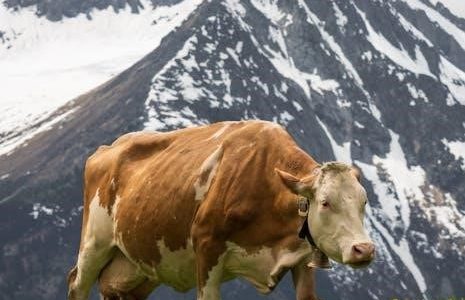 reactivity pdf free download