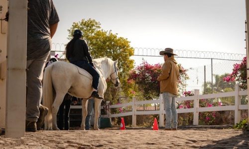 loan iq training pdf